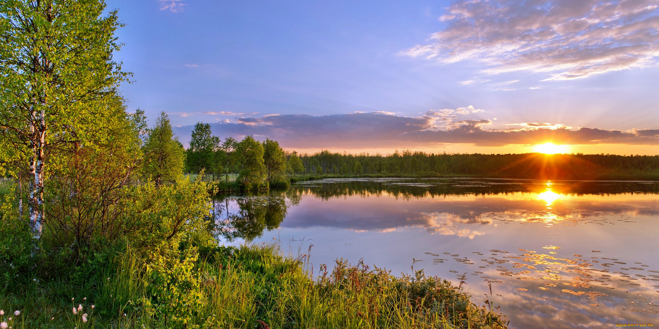 Лесное озеро Архангельская область Озерный край